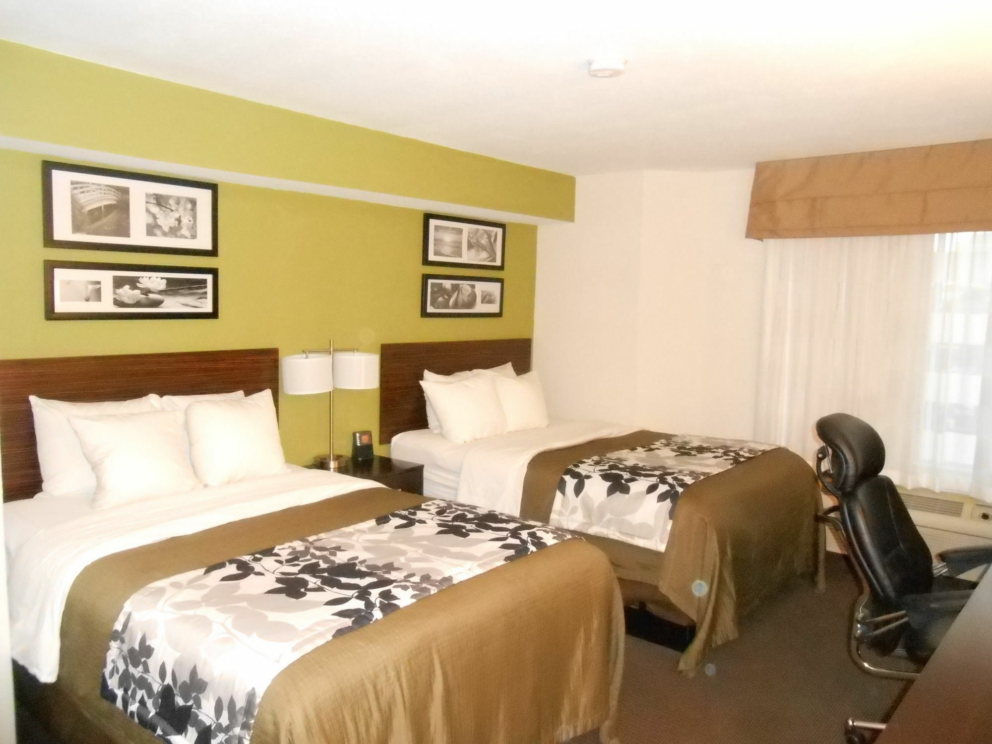 Surestay Plus By Best Western Mesa Superstition Springs Εξωτερικό φωτογραφία